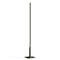 Fly LED Floor Lamp  option Anthracite