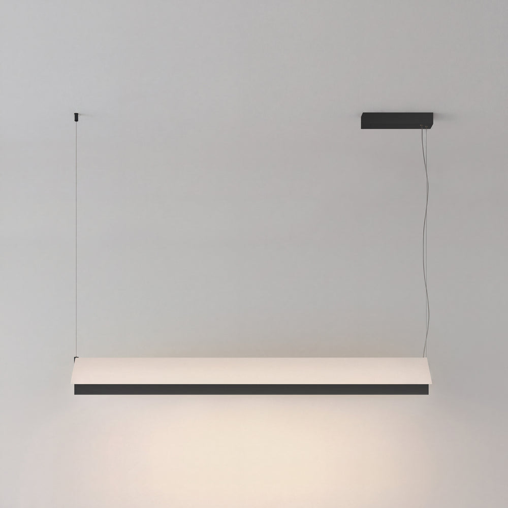 Fly Pendant Light