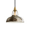 Standard Original Pendant Light  option Antinium