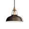 Standard Original Pendant Light  option Pewter