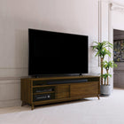 Catalina 2 Door Media Cabinet