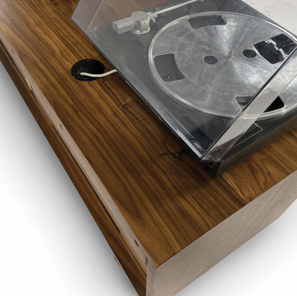 Catalina 2 Door Media Cabinet