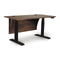 Invigo Standing Desk  option Modesty Panel