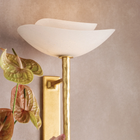 Coppa Wall Sconce