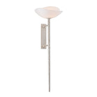 Coppa Wall Sconce