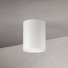 CSL x Hudson Valley Lighting Cylinder LED Flush Mount