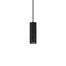CSL x Hudson Valley Lighting Cylinder LED Pendant Light  option Matte Black