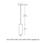 CSL x Hudson Valley Lighting Cylinder LED Pendant Light
