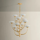 Pluro Chandelier