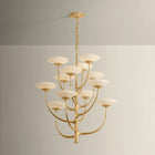 Pluro Chandelier