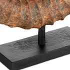 Faux Horn (Set of 2)