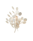 Lunaria Wall Sconce
