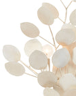 Lunaria Wall Sconce