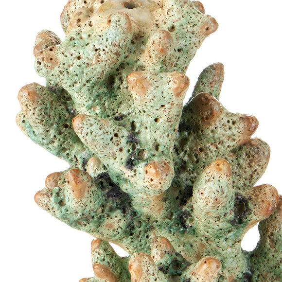 Currey & Company Staghorn Coral Sculpture - 2Modern
