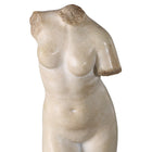Goddess Venus Sculpture