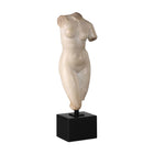 Goddess Venus Sculpture