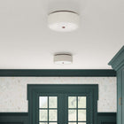 Tyrone LED Flush Mount