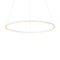 Circa LED Pendant Light  option White