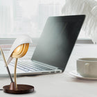 Bird Desk Lamp