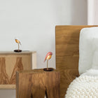 Bird Desk Lamp