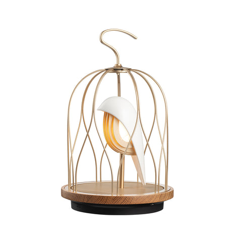 JinGoo Bluetooth Speaker/Light