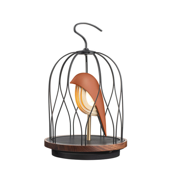 JinGoo Bluetooth Speaker/Light