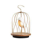 JinGoo Bluetooth Speaker/Light