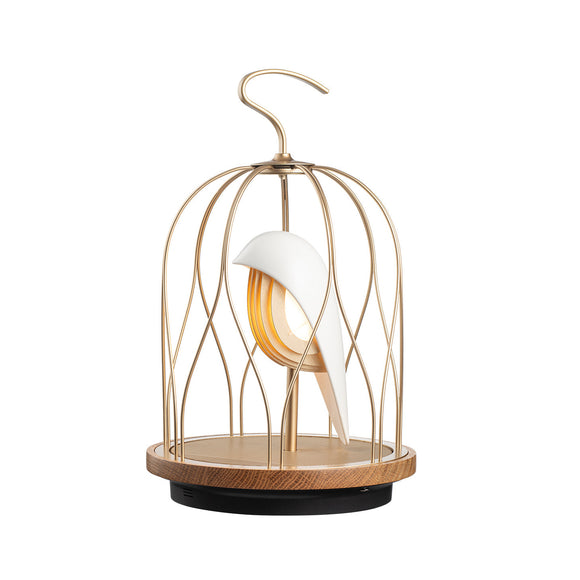 JinGoo Bluetooth Speaker/Light