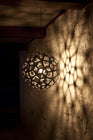 Coral Pendant Light