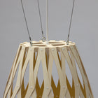 Hinaki Pendant Light
