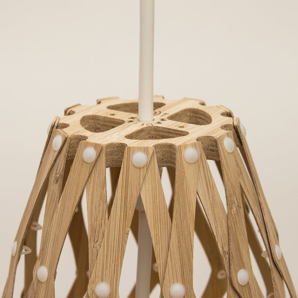 Hinaki Pendant Light