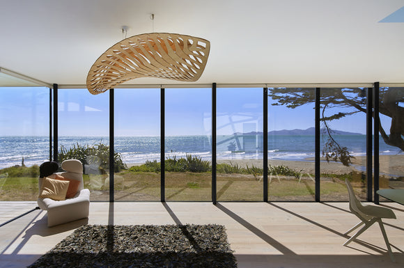 Navicula Pendant Light