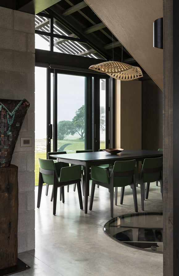 Navicula Pendant Light