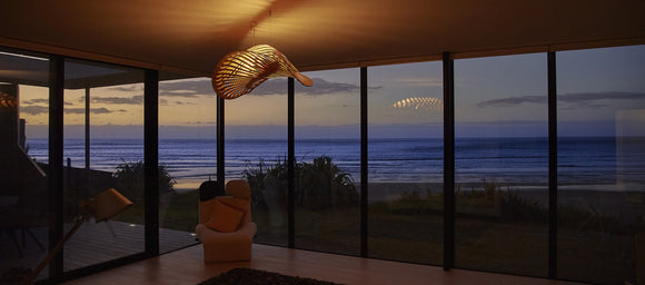 Navicula Pendant Light
