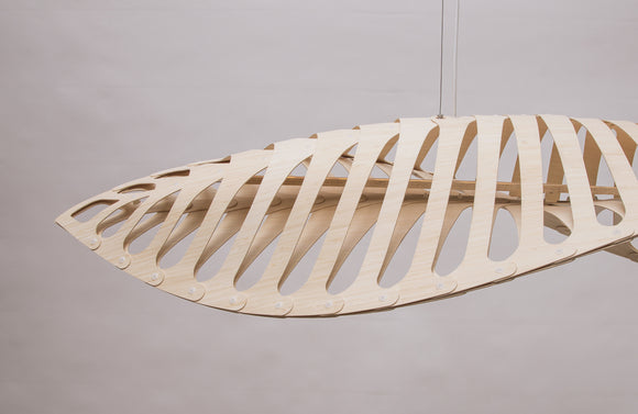 Navicula Pendant Light
