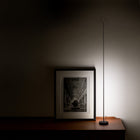 Anima LED Table Lamp