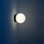 Calma Wall Sconce