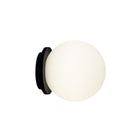 Calma Wall Sconce