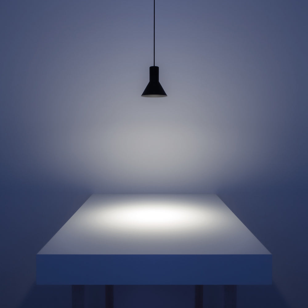 Neuro Pendant Light