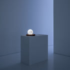 Pigreco LED Table Lamp