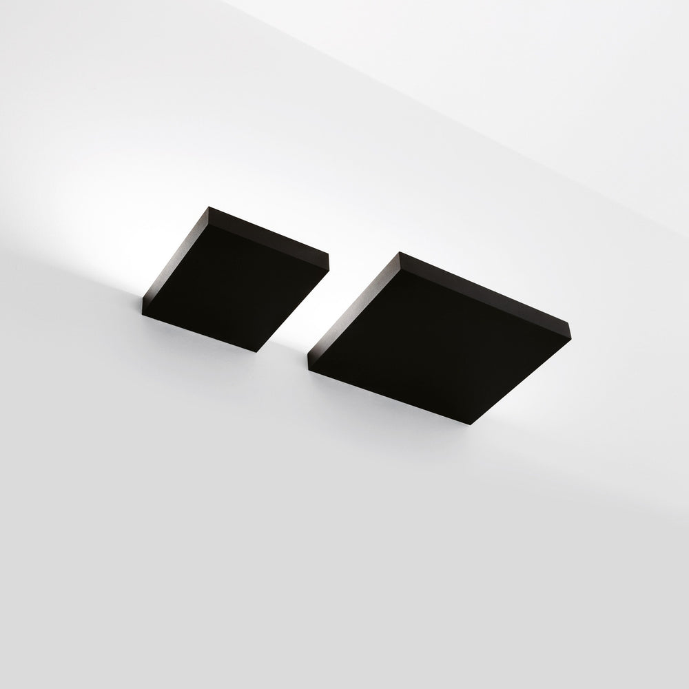 Sol Wall Sconce