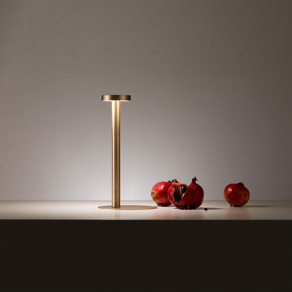TeTaTeT LED Portable Table Lamp