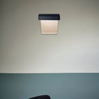 Biny Curve LED Wall Sconce