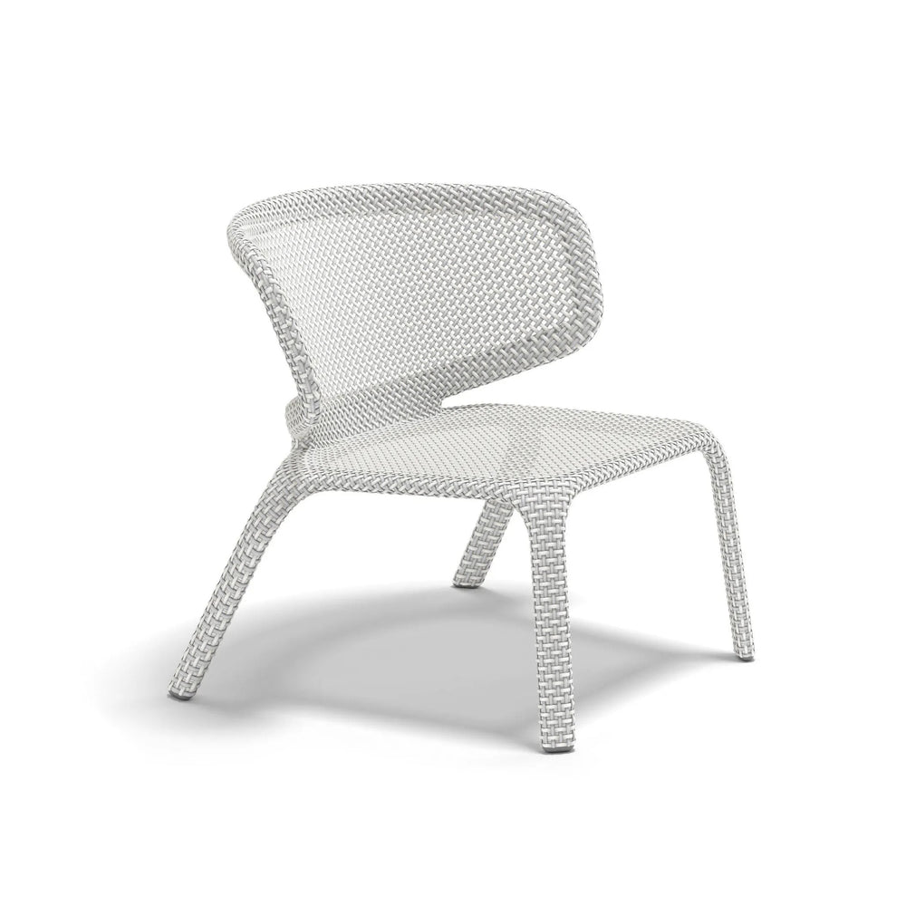 Seashell Nuo Lounge Chair