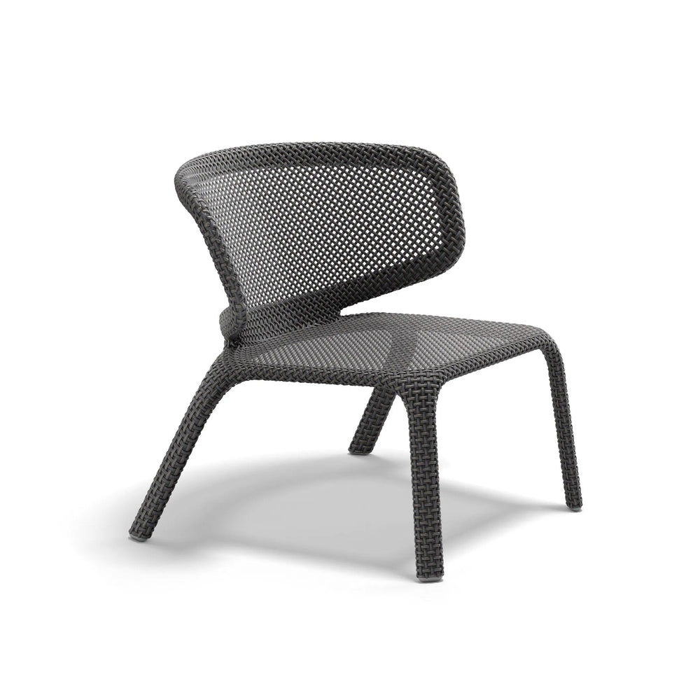 Seashell Nuo Lounge Chair