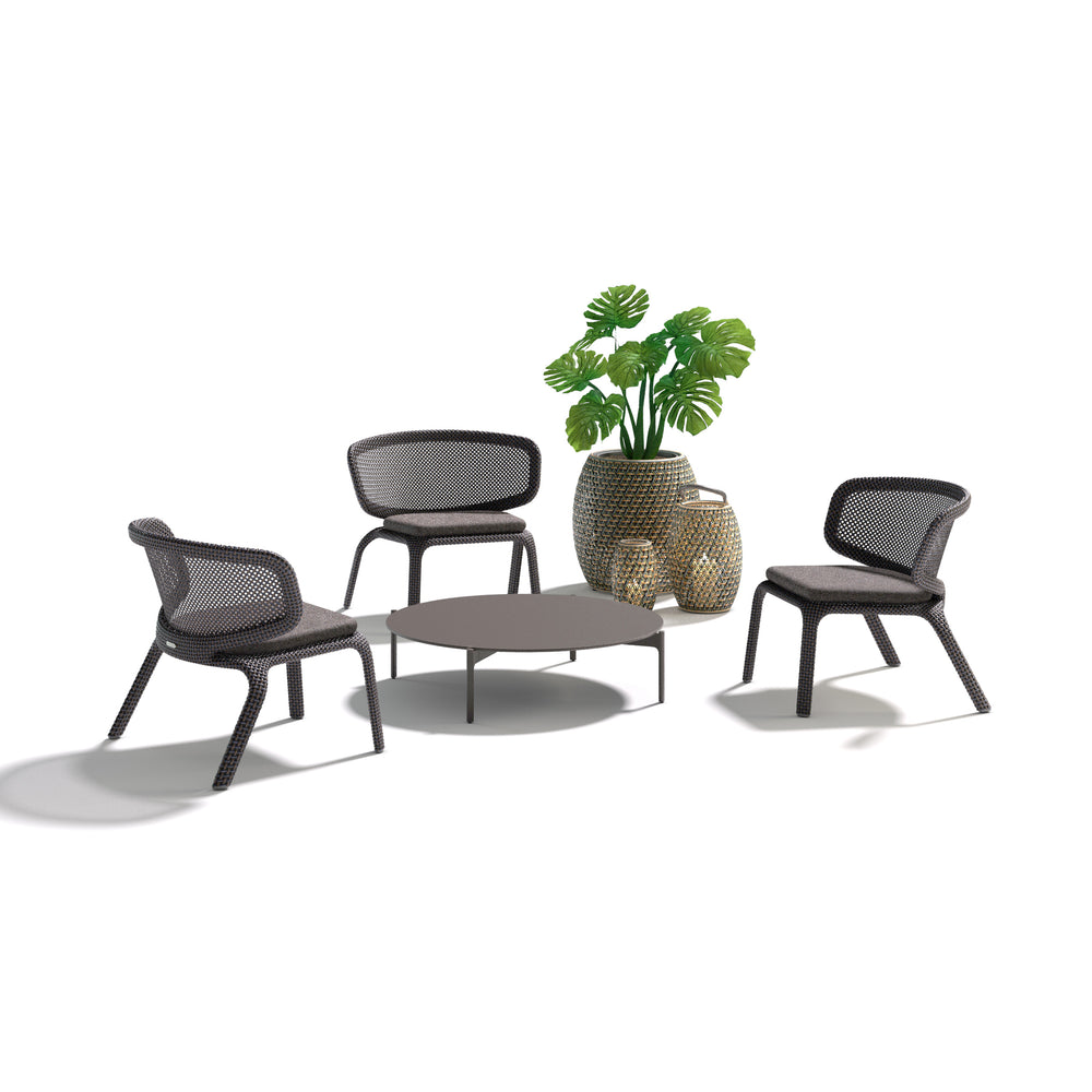 Seashell Nuo Lounge Chair