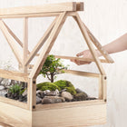 Greenhouse Planter
