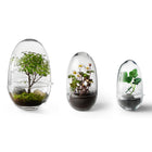Grow Greenhouse Planter (Set of 3)