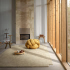 Level Rug