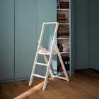 Step Stepladder